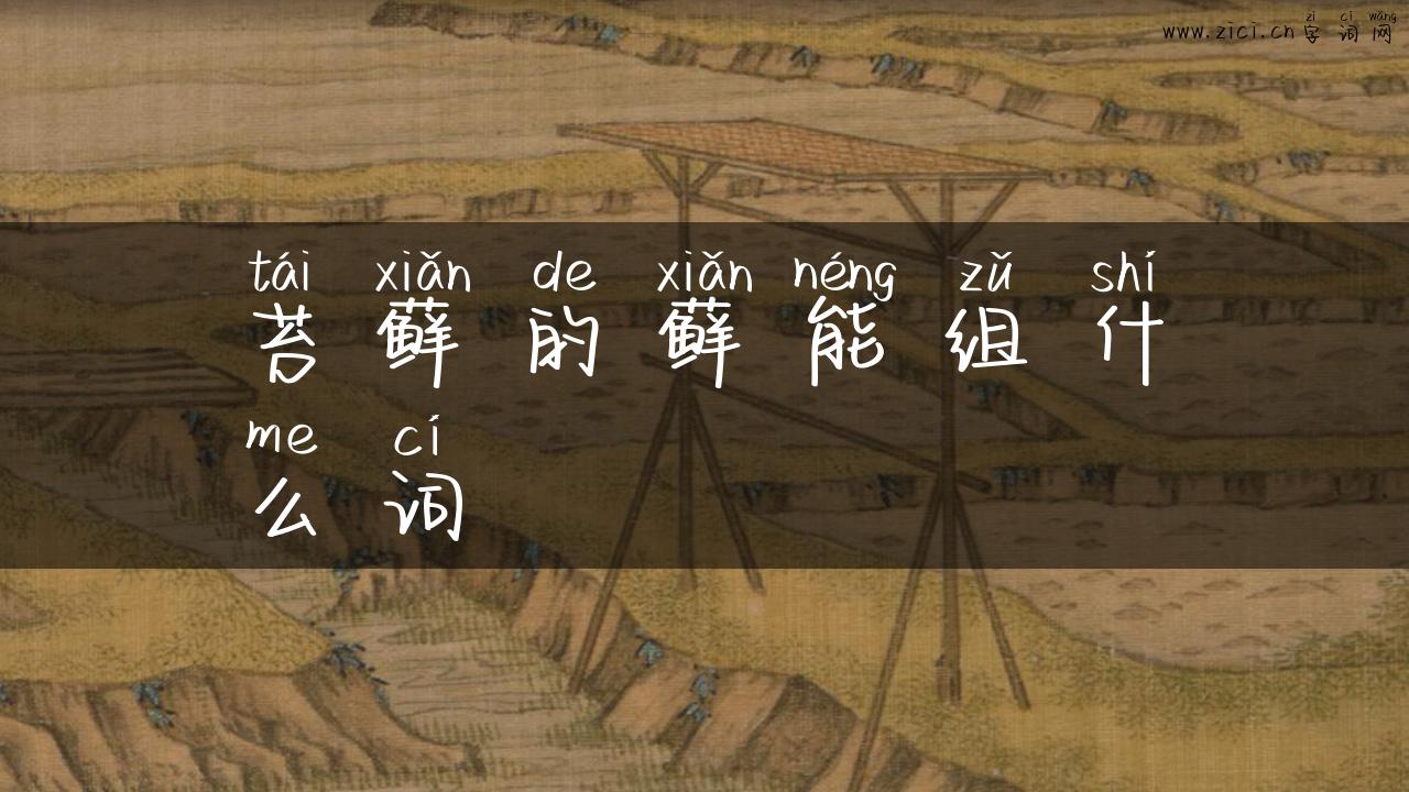 苔藓的藓能组什么词