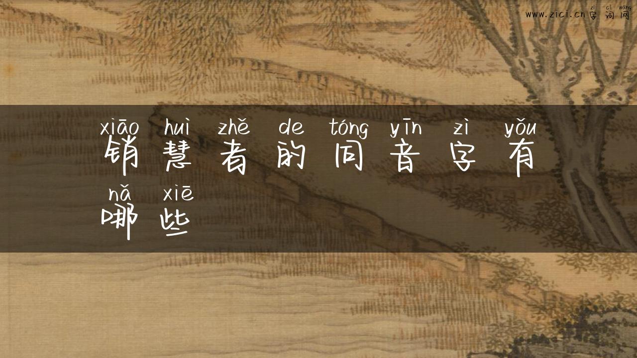 销慧者的同音字有哪些