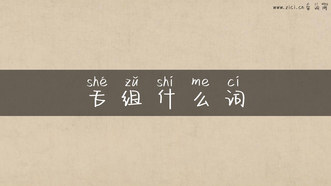 舌组什么词