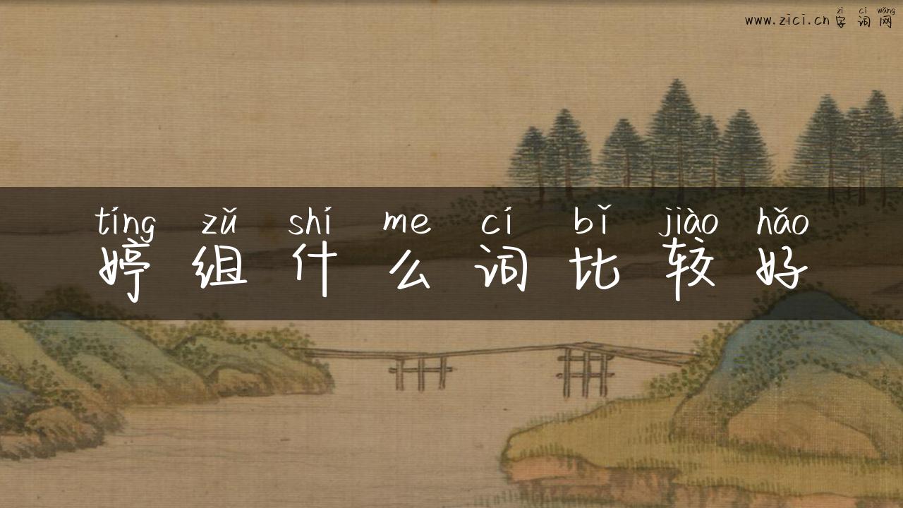 婷组什么词比较好
