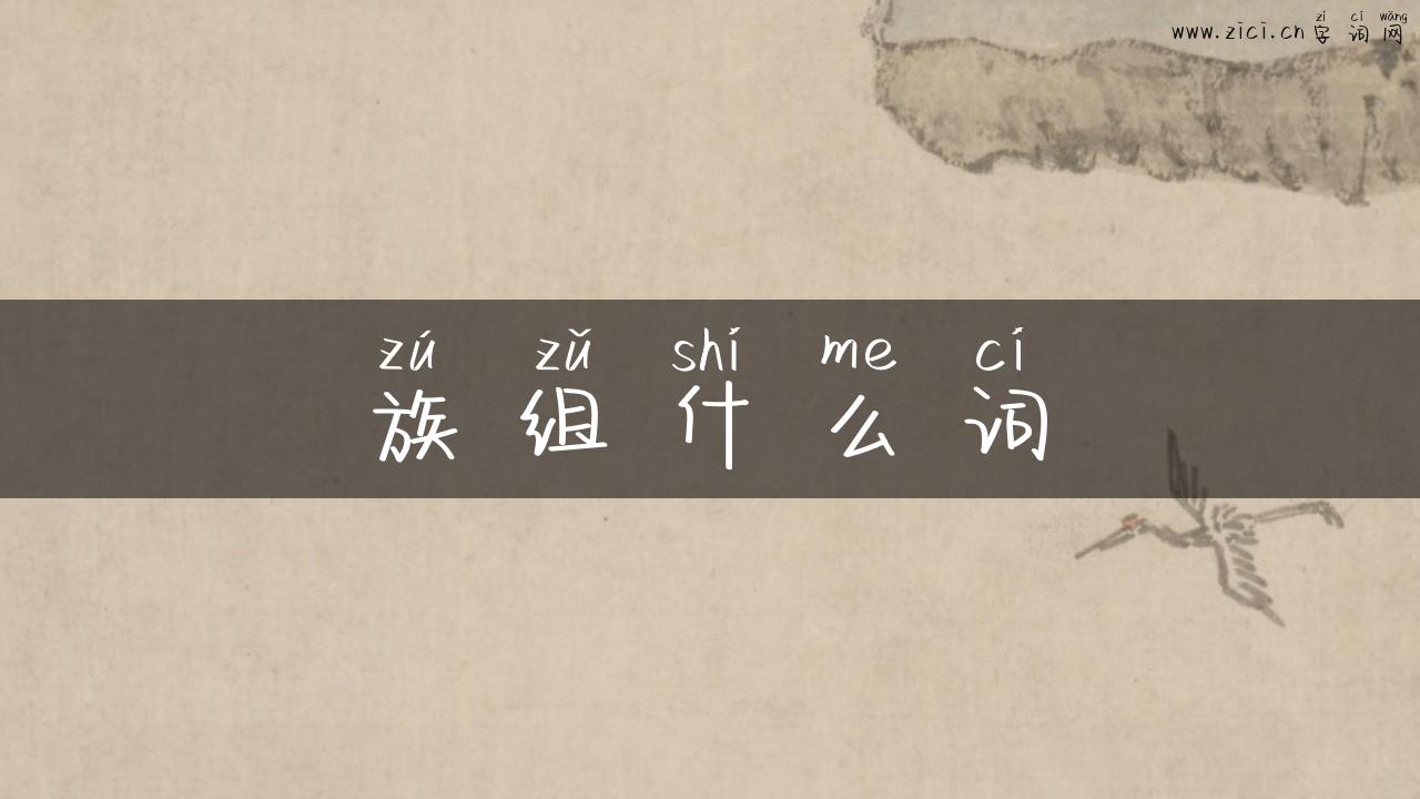 族组什么词