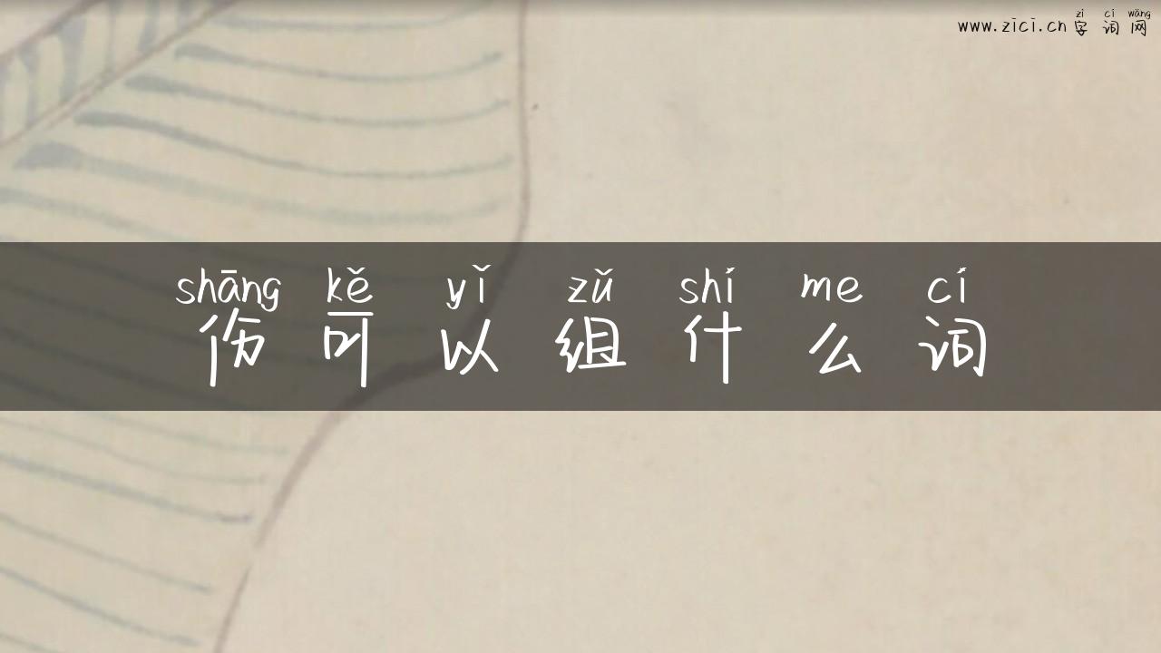 伤可以组什么词