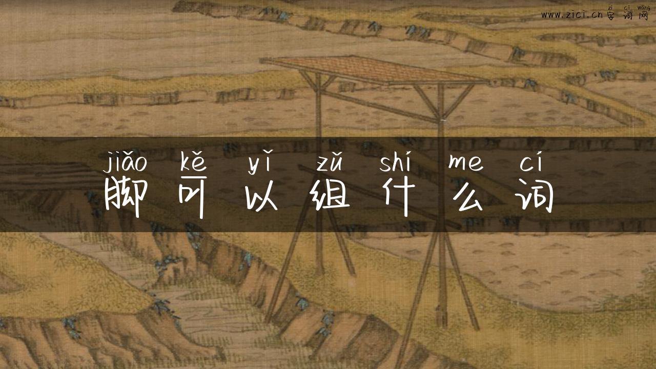 脚可以组什么词