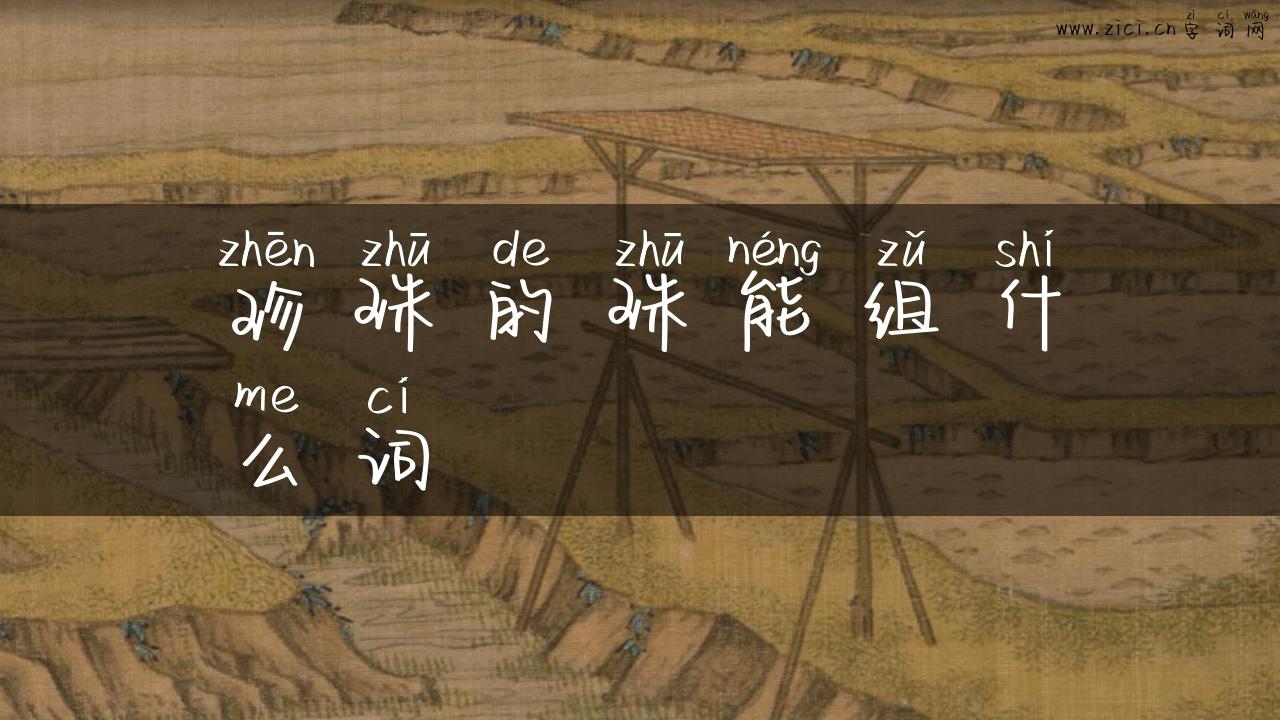 珍珠的珠能组什么词