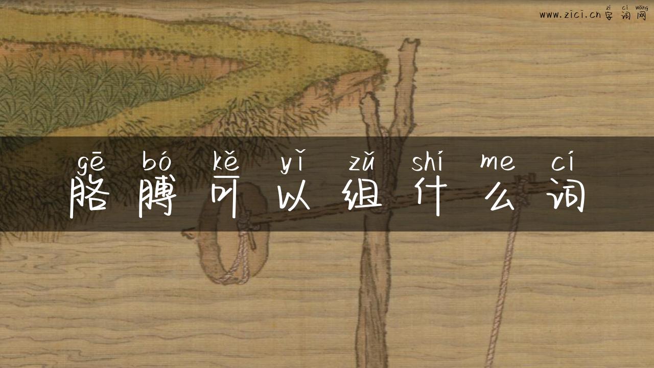 胳膊可以组什么词