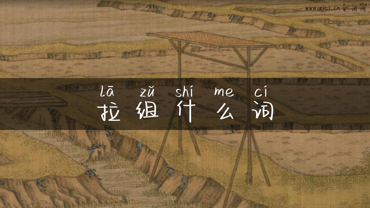 拉组什么词