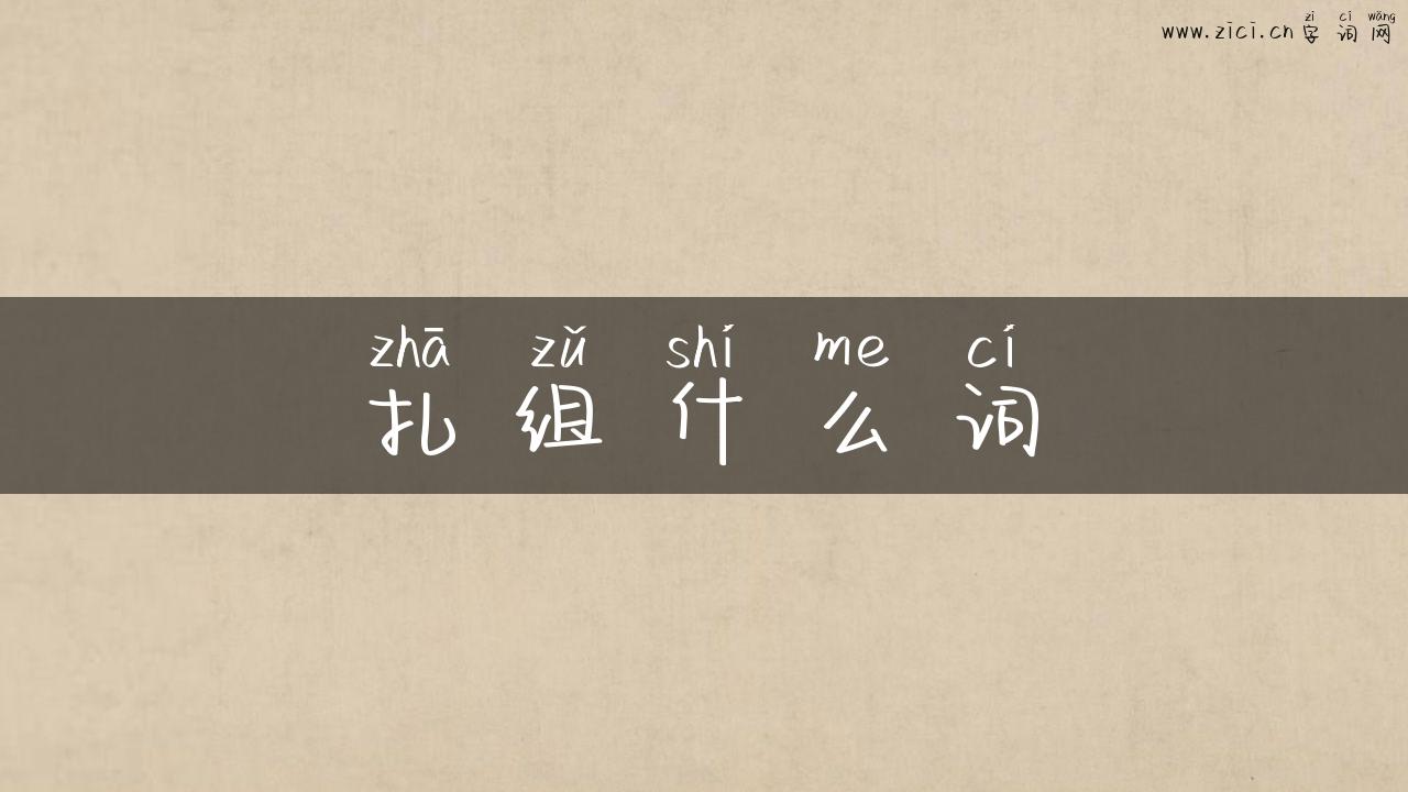 扎组什么词