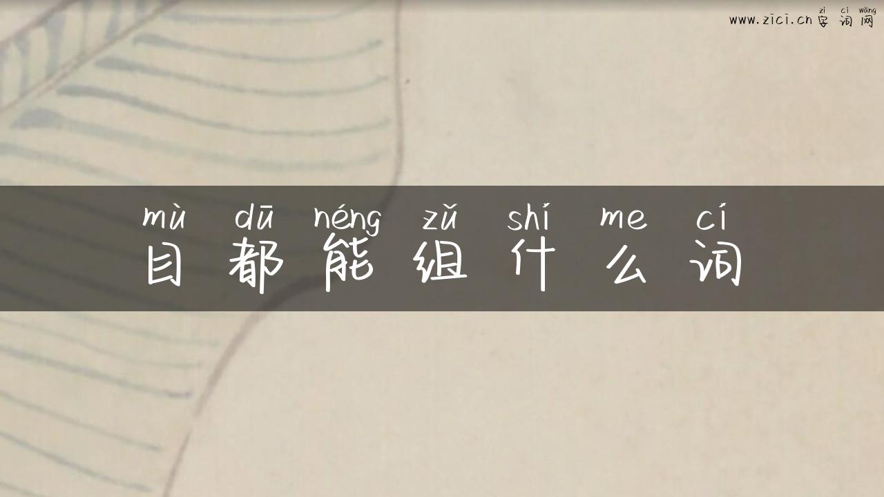 目都能组什么词