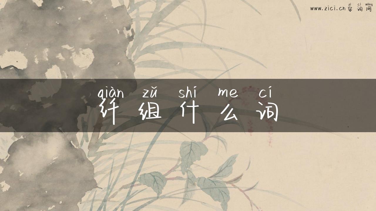 纤组什么词