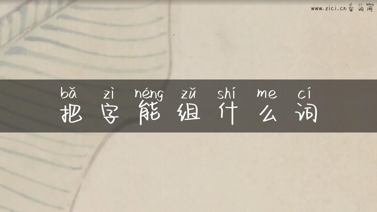 把字能组什么词