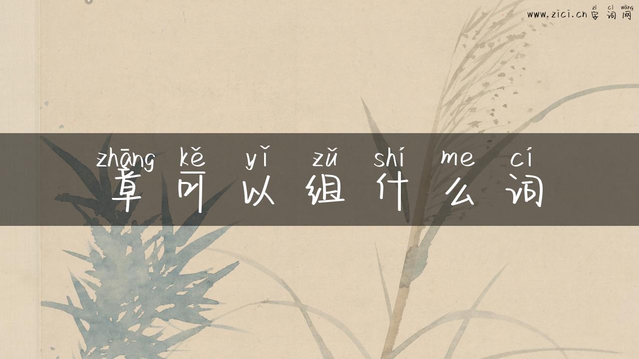 章可以组什么词