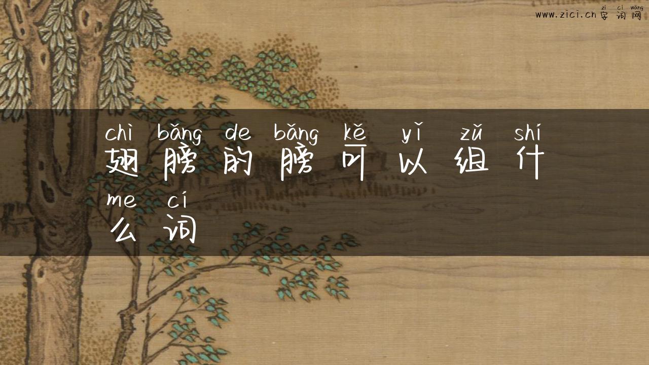 翅膀的膀可以组什么词