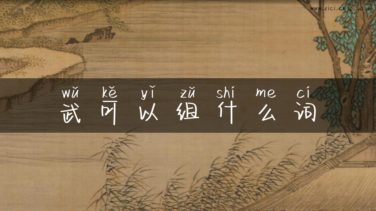 武可以组什么词