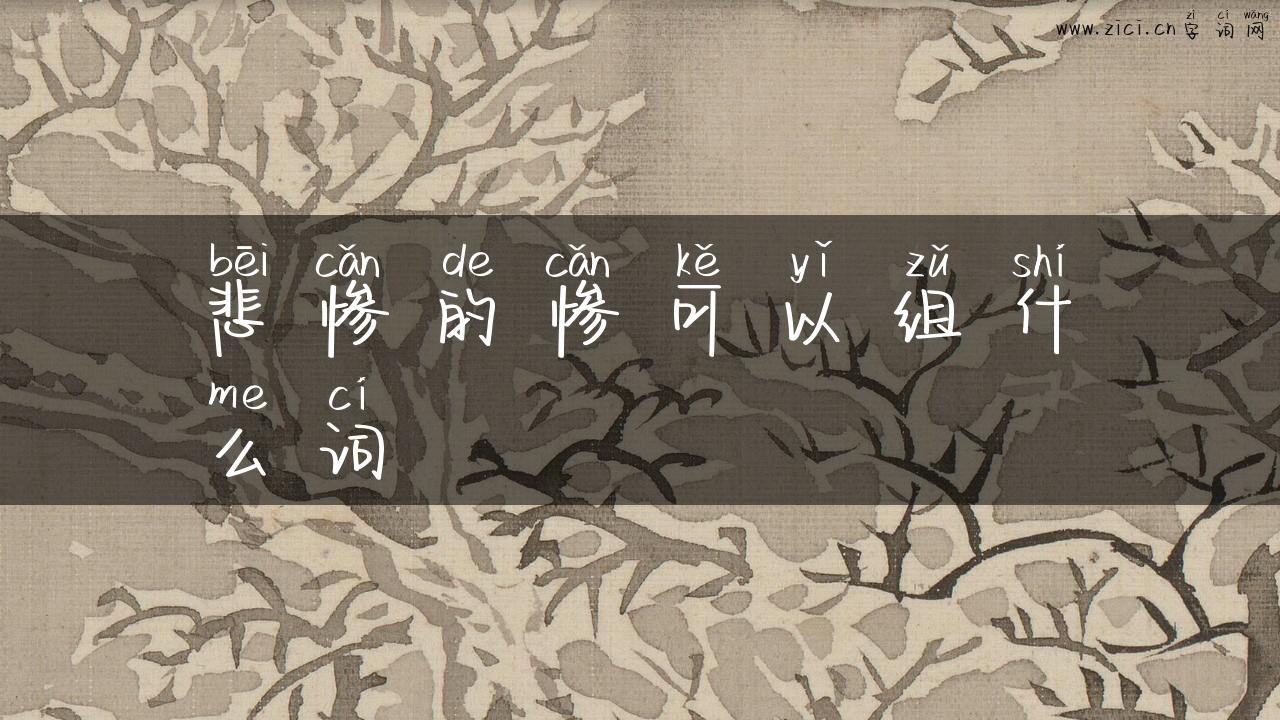 悲惨的惨可以组什么词