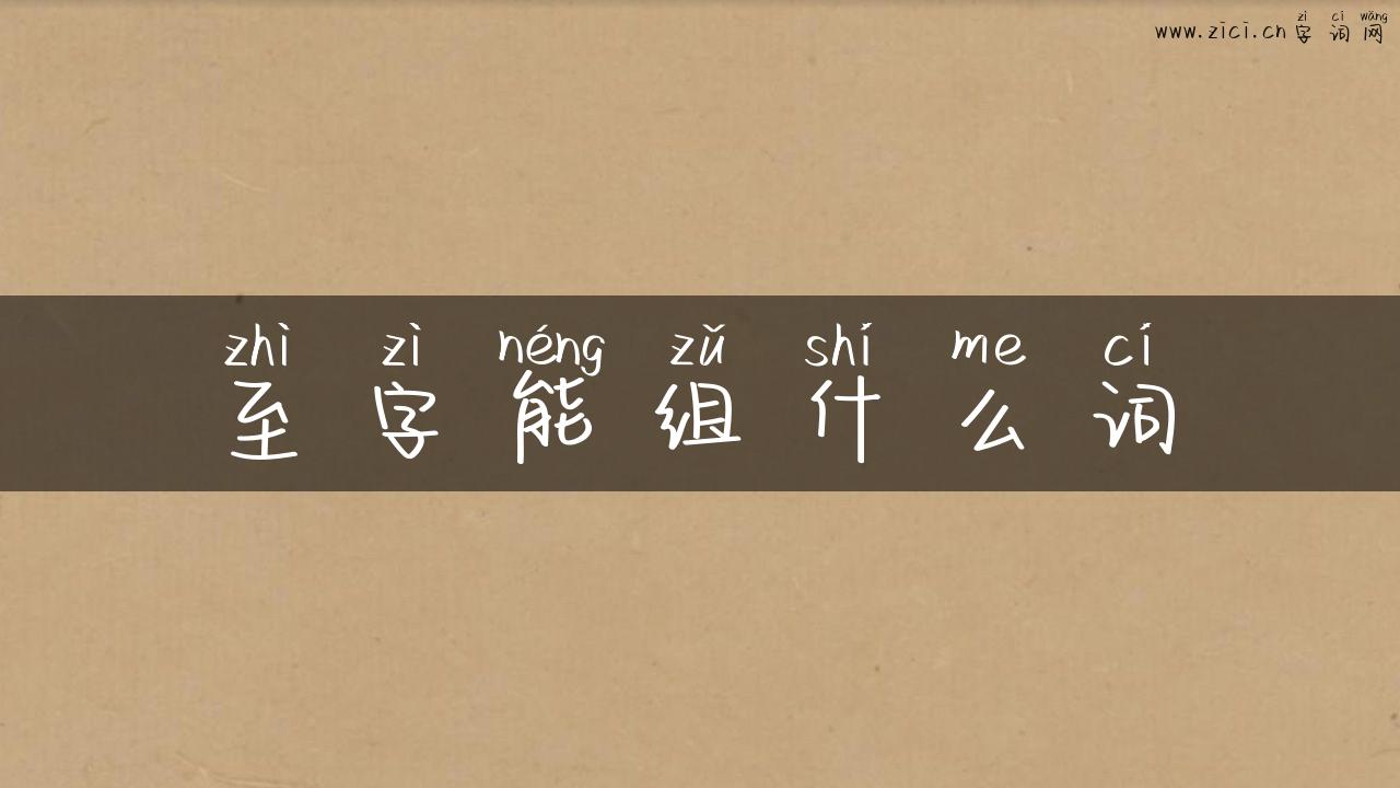 至字能组什么词