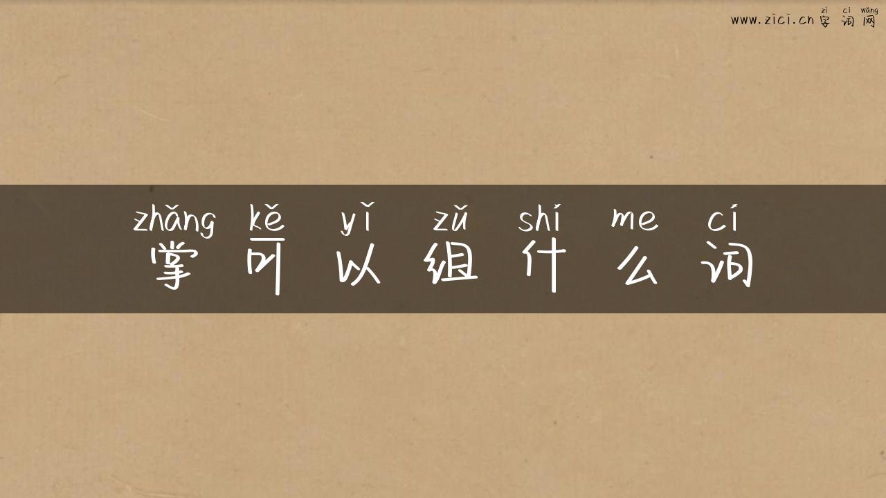 掌可以组什么词