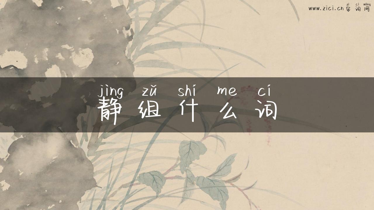 静组什么词