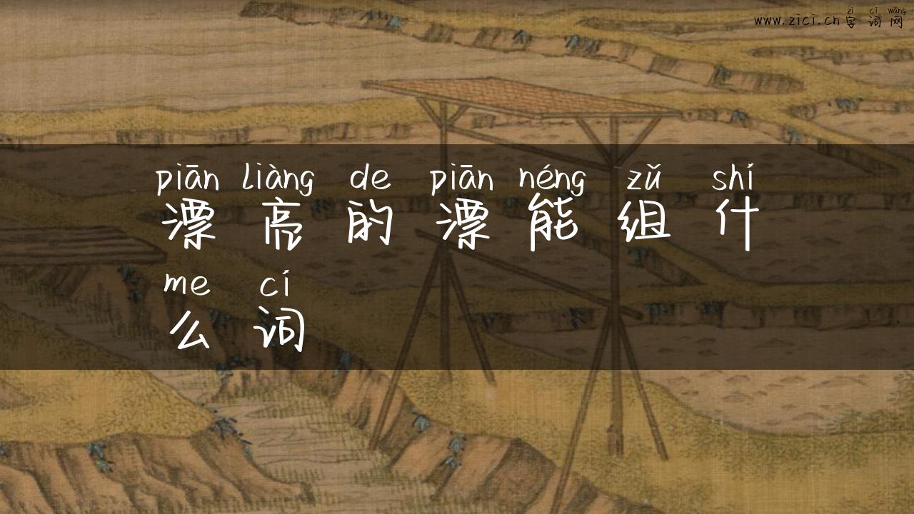 漂亮的漂能组什么词