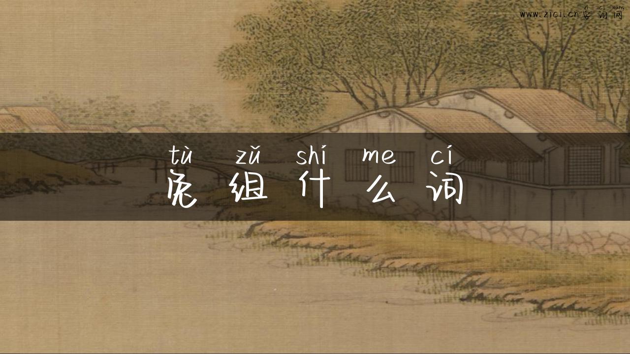 兔组什么词