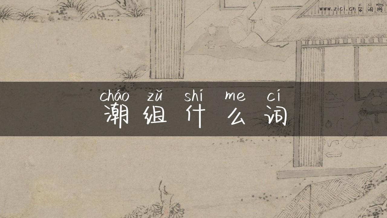 潮组什么词