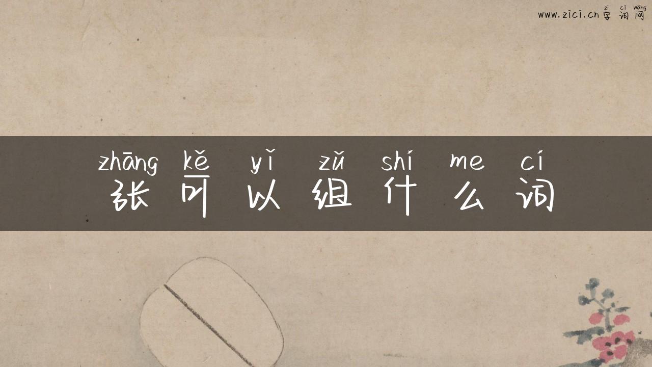 张可以组什么词