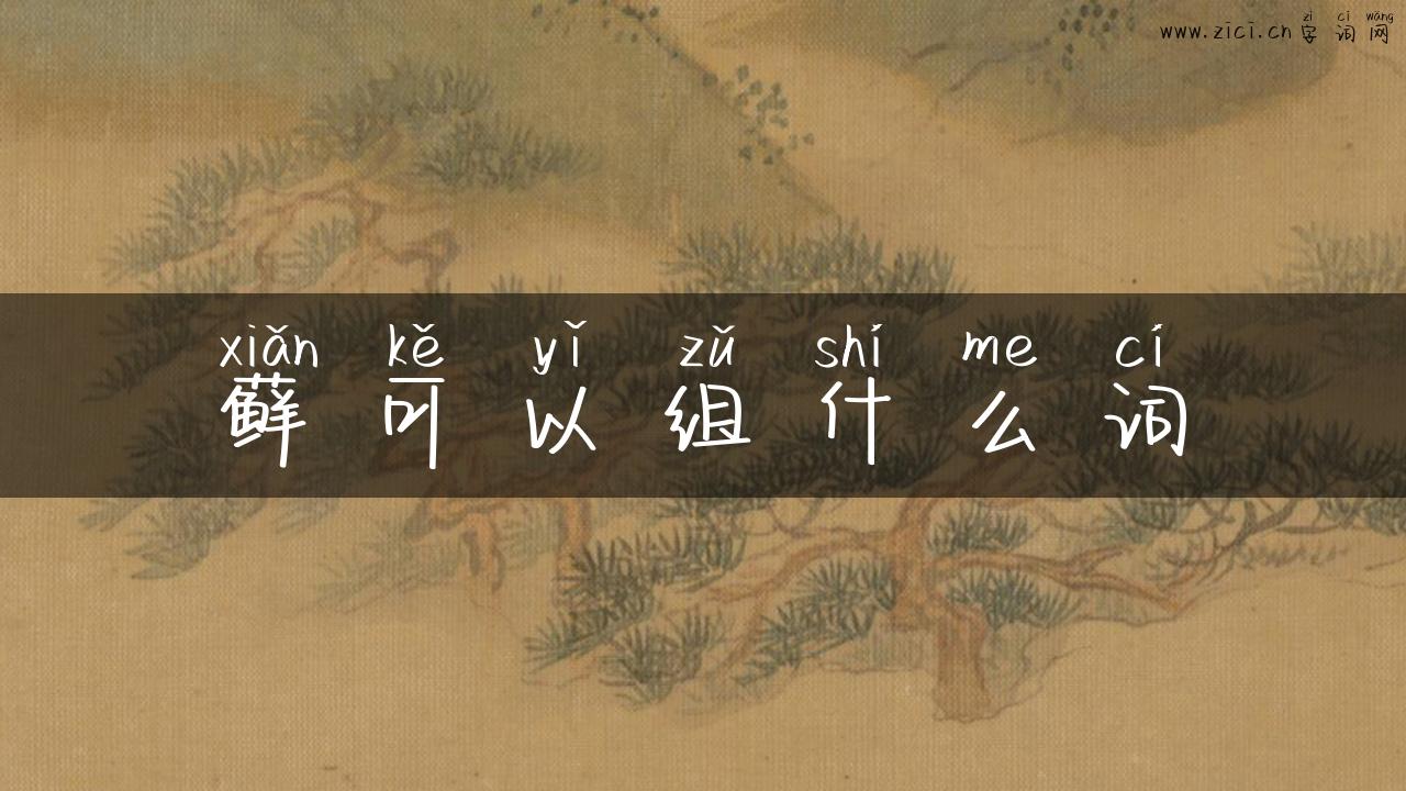 藓可以组什么词