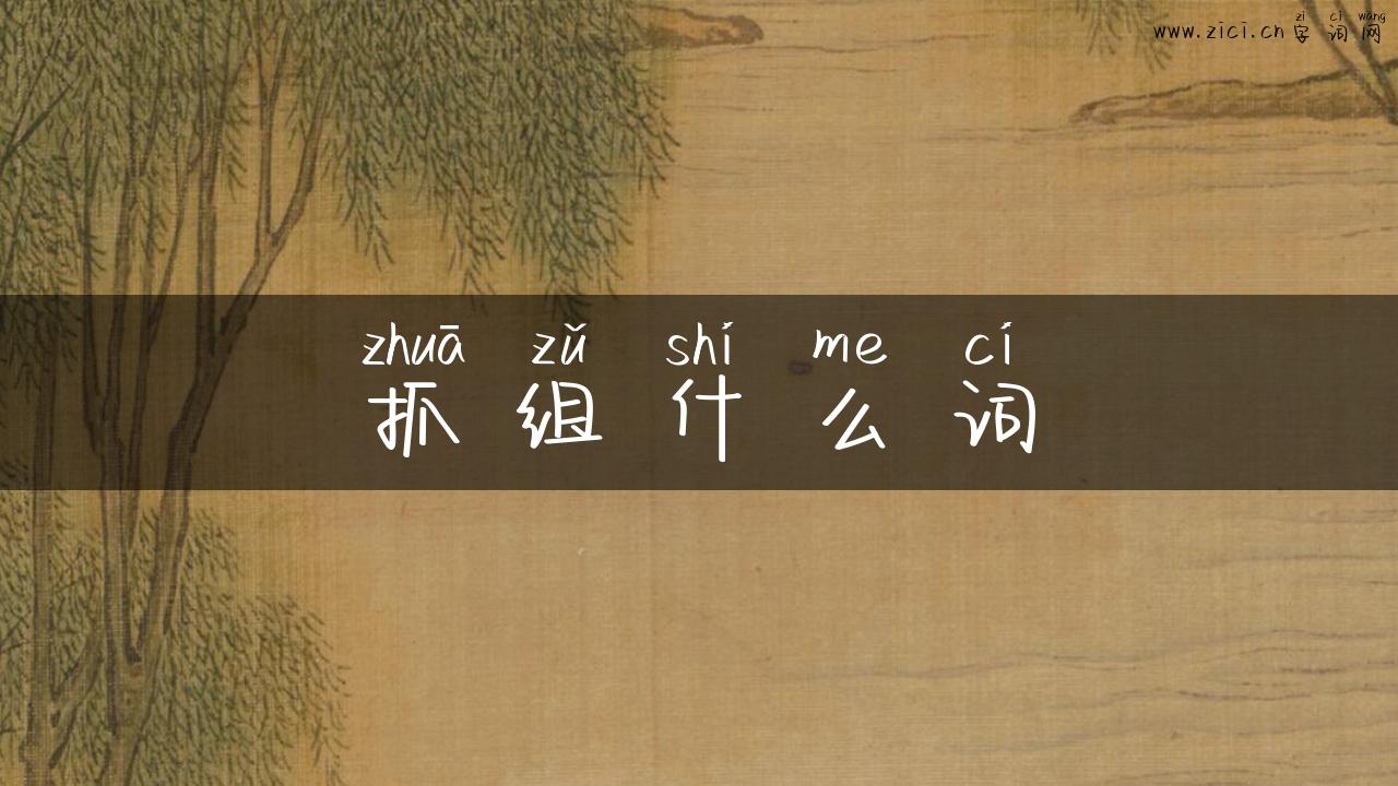 抓组什么词