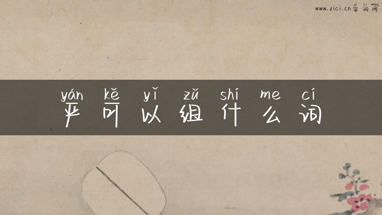 严可以组什么词