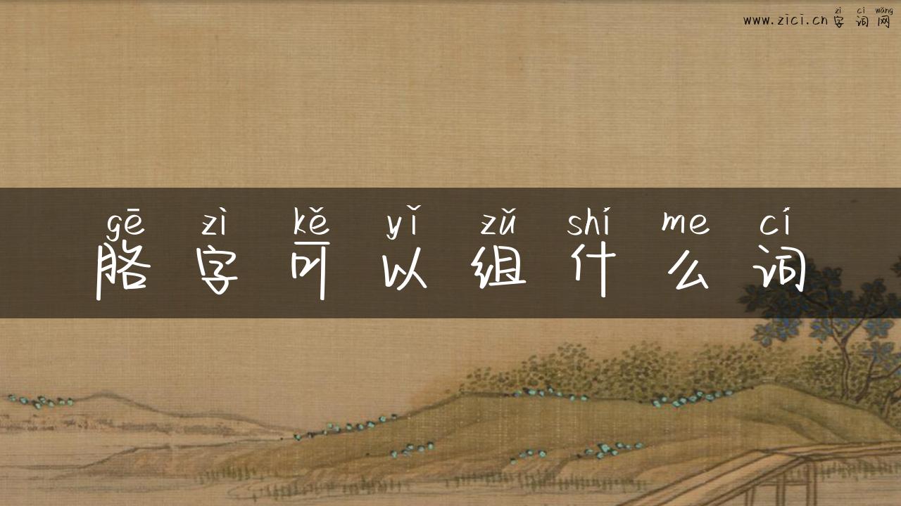胳字可以组什么词