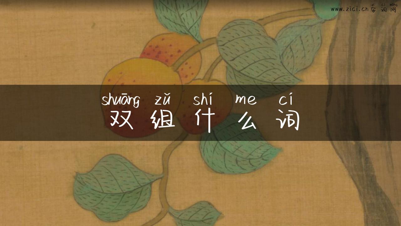 双组什么词