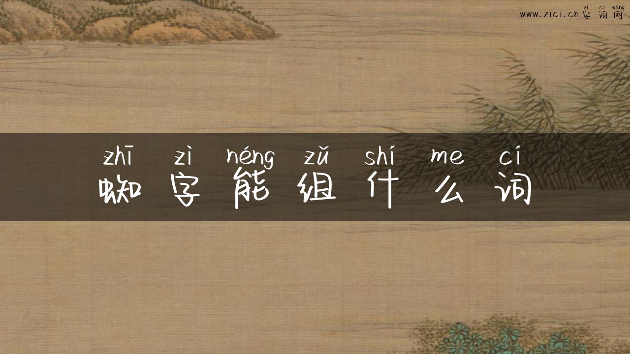 蜘字能组什么词