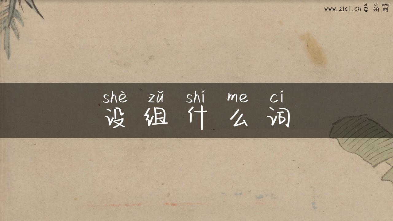 设组什么词