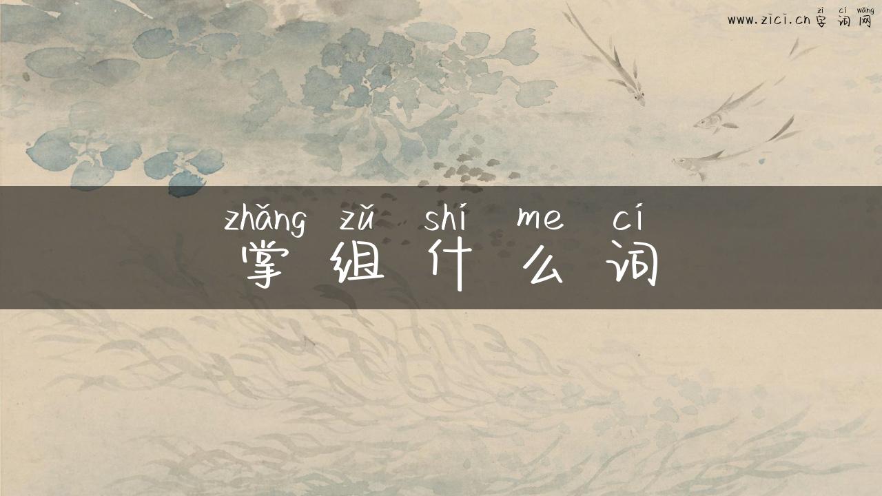 掌组什么词