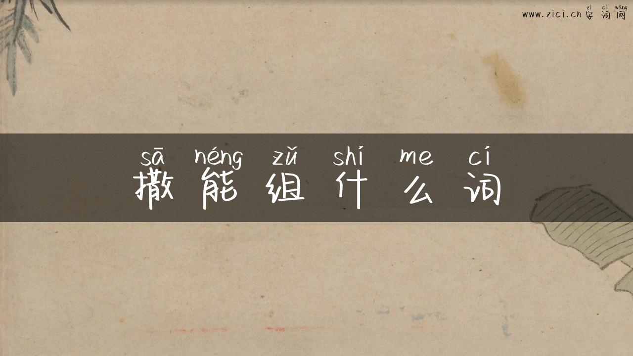 撒能组什么词