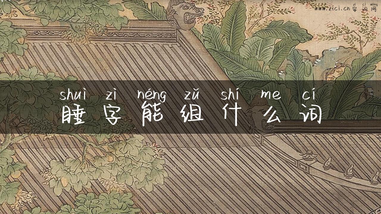 睡字能组什么词