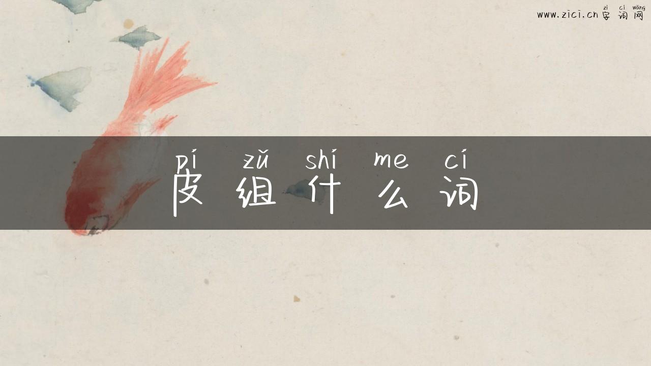 皮组什么词