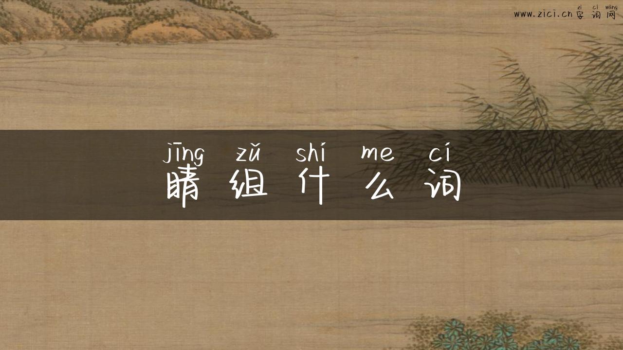 睛组什么词