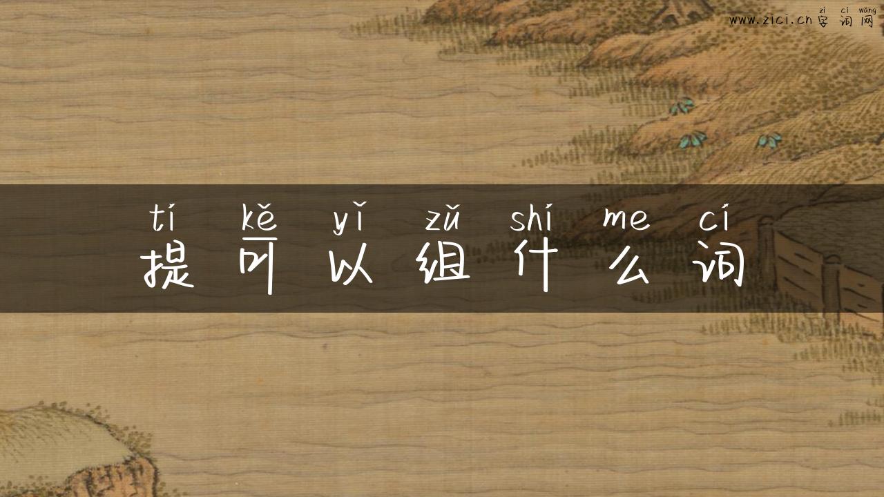 提可以组什么词