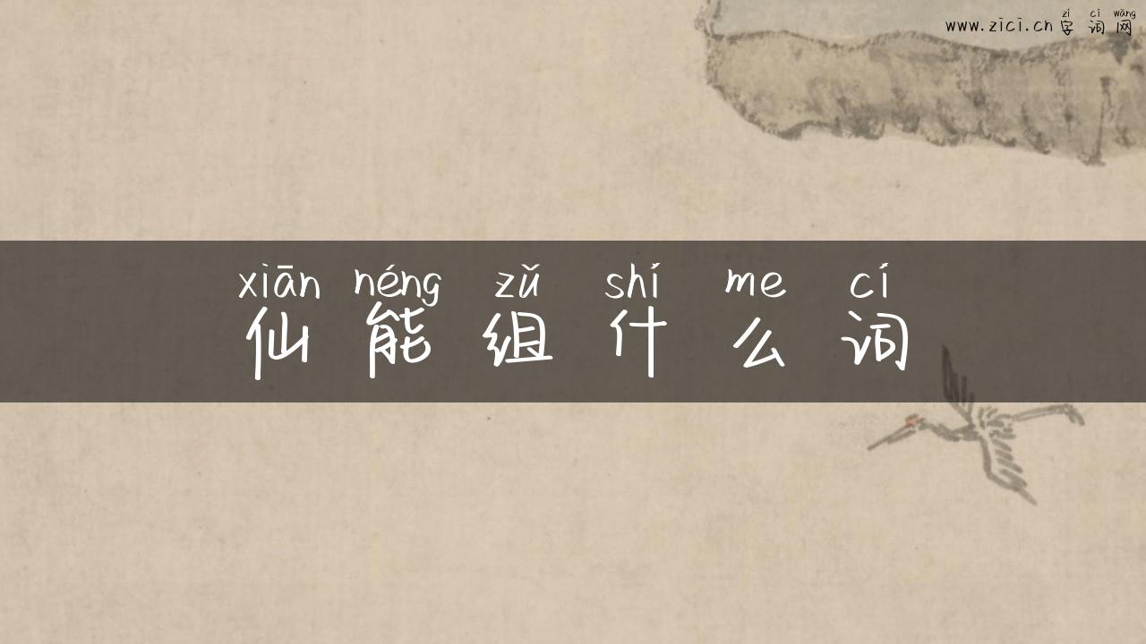 仙能组什么词