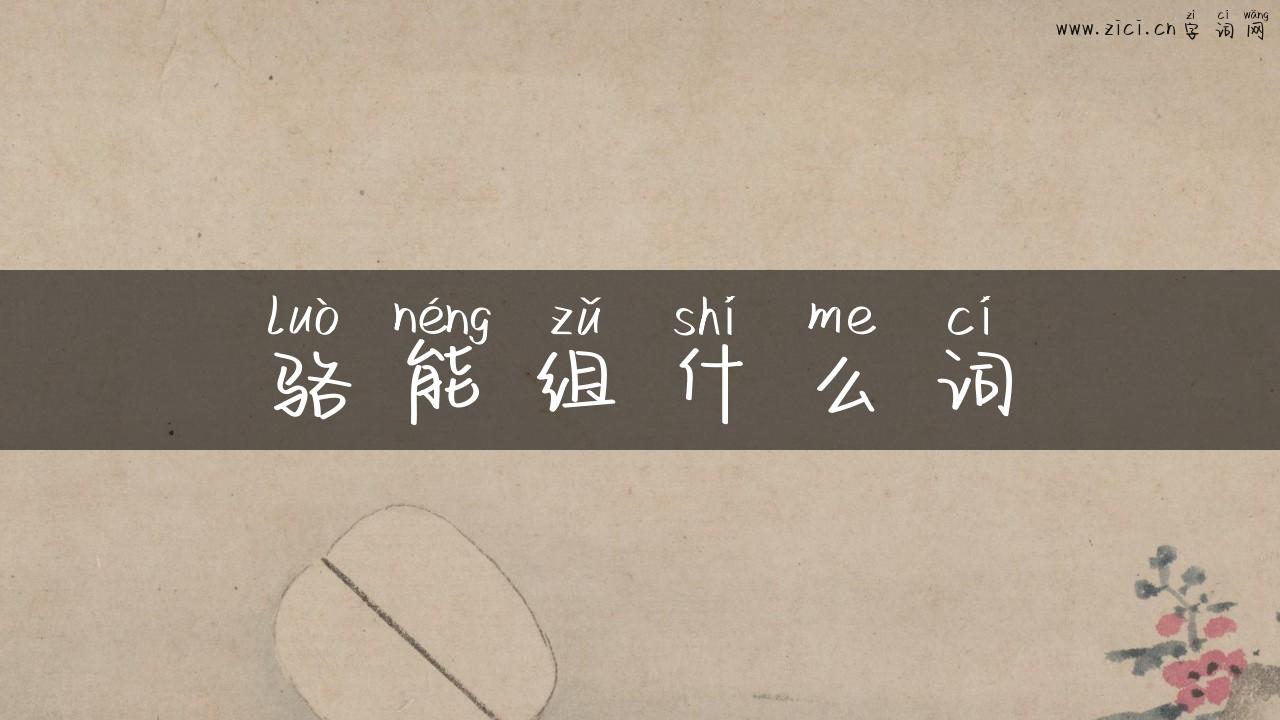 骆能组什么词