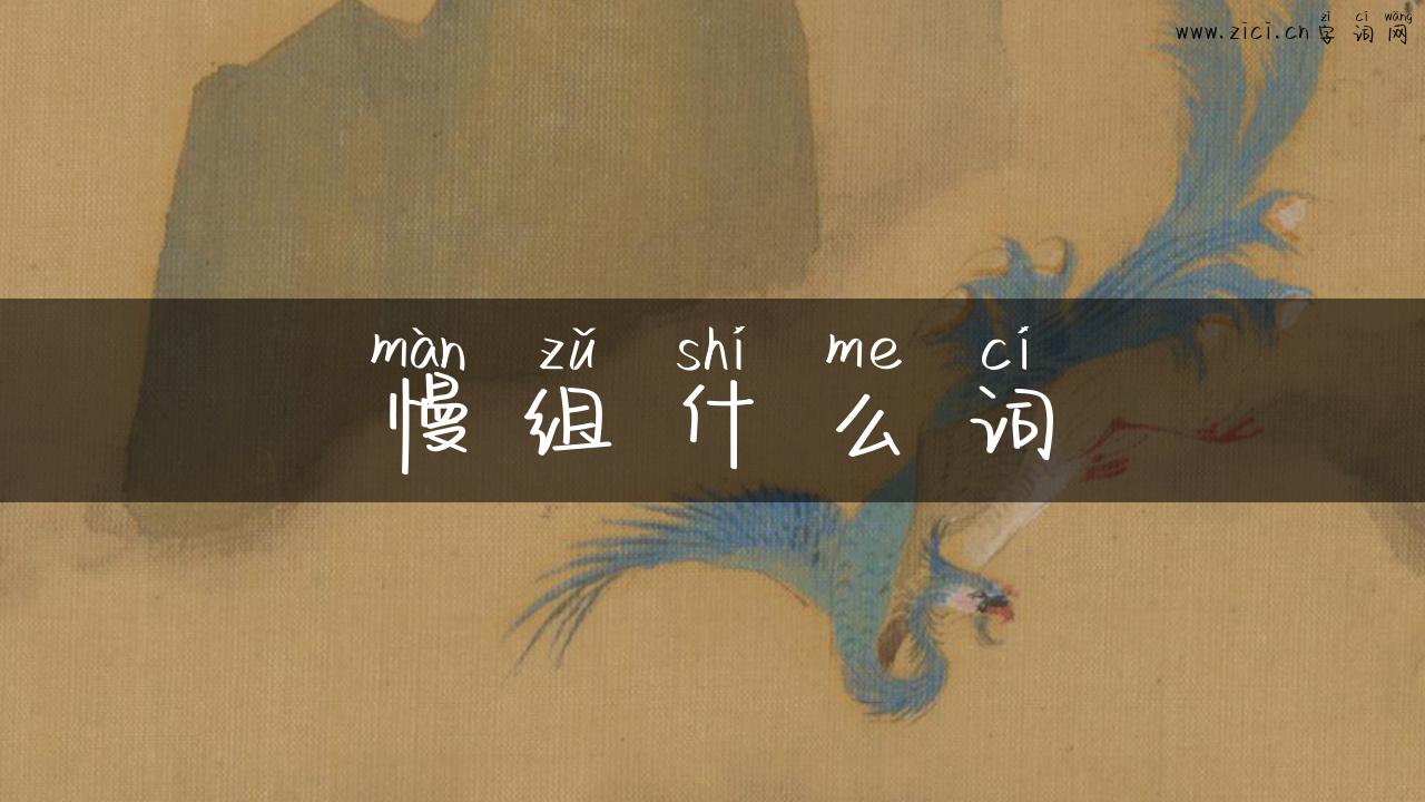 慢组什么词