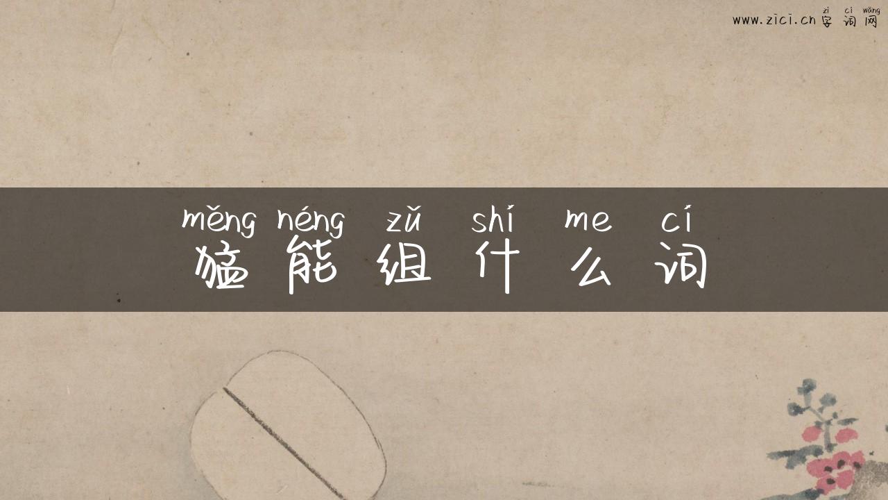 猛能组什么词