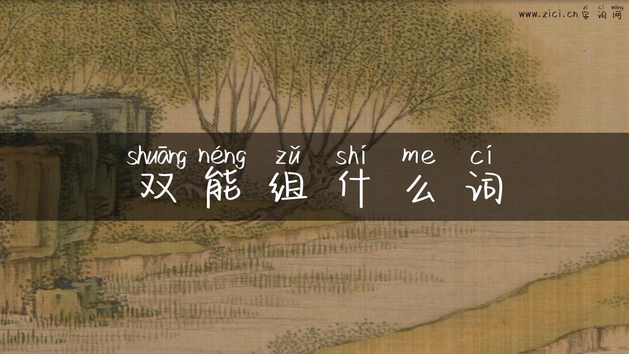 双能组什么词