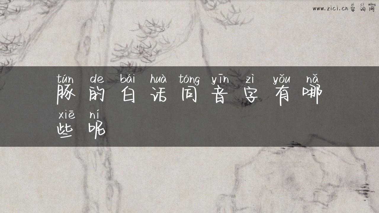 豚的白话同音字有哪些呢
