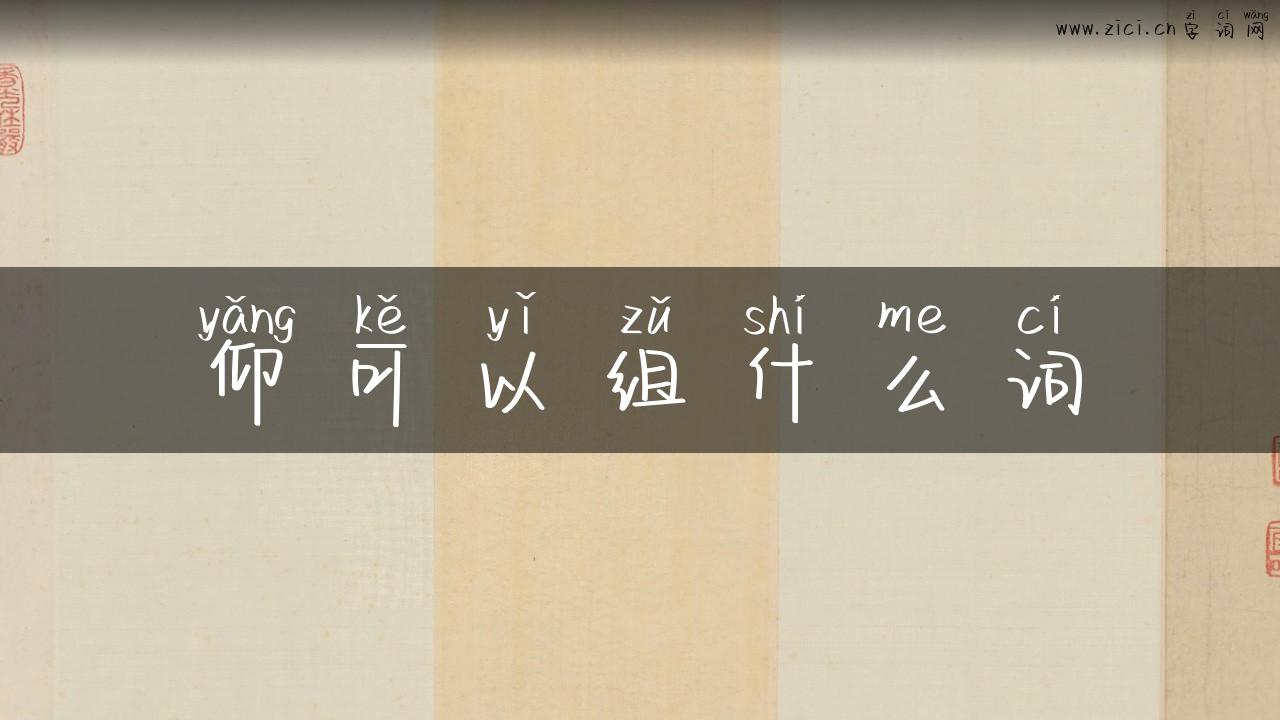 仰可以组什么词