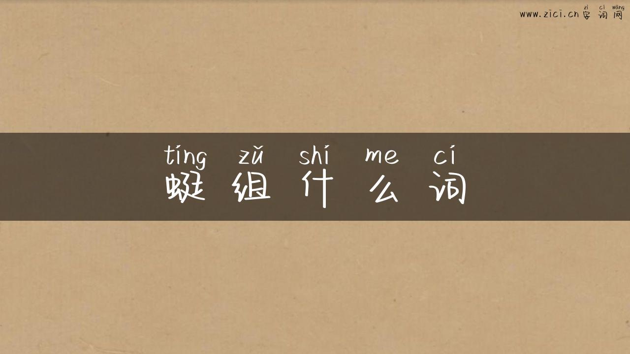 蜓组什么词