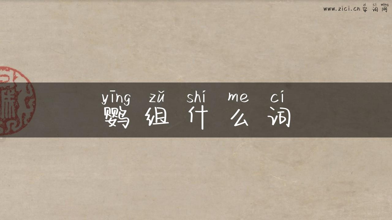 鹦组什么词