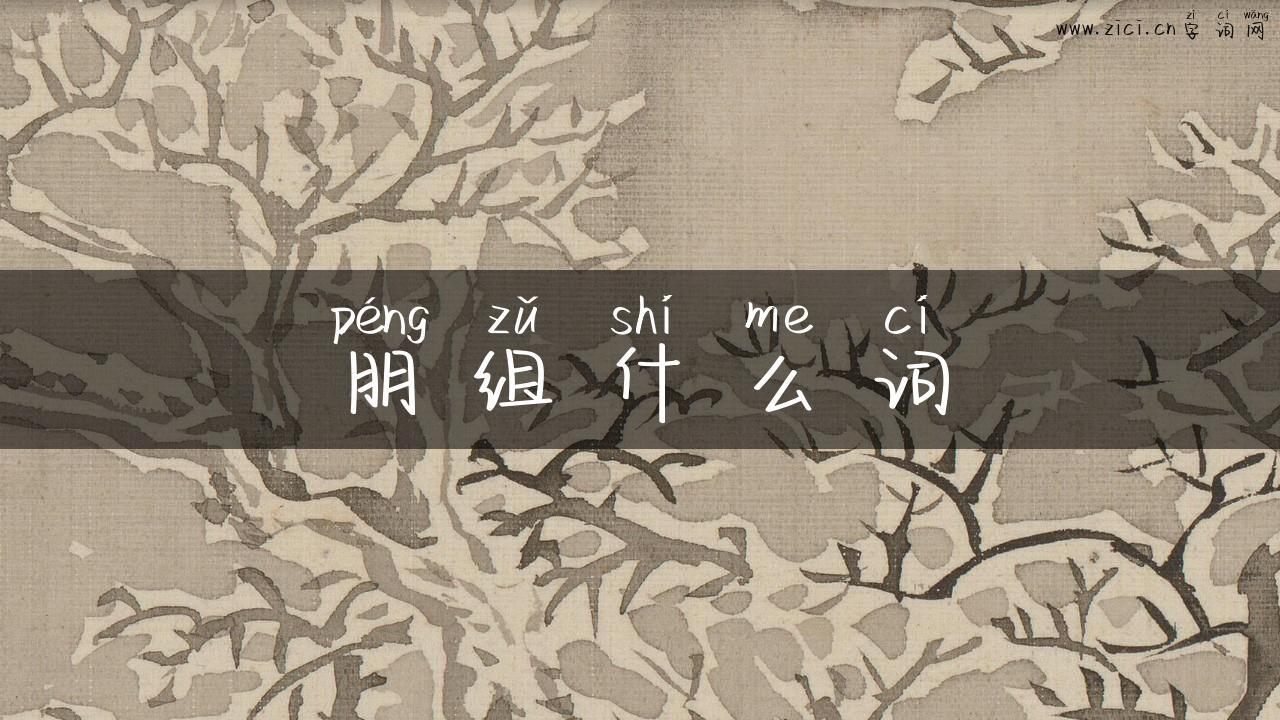 朋组什么词
