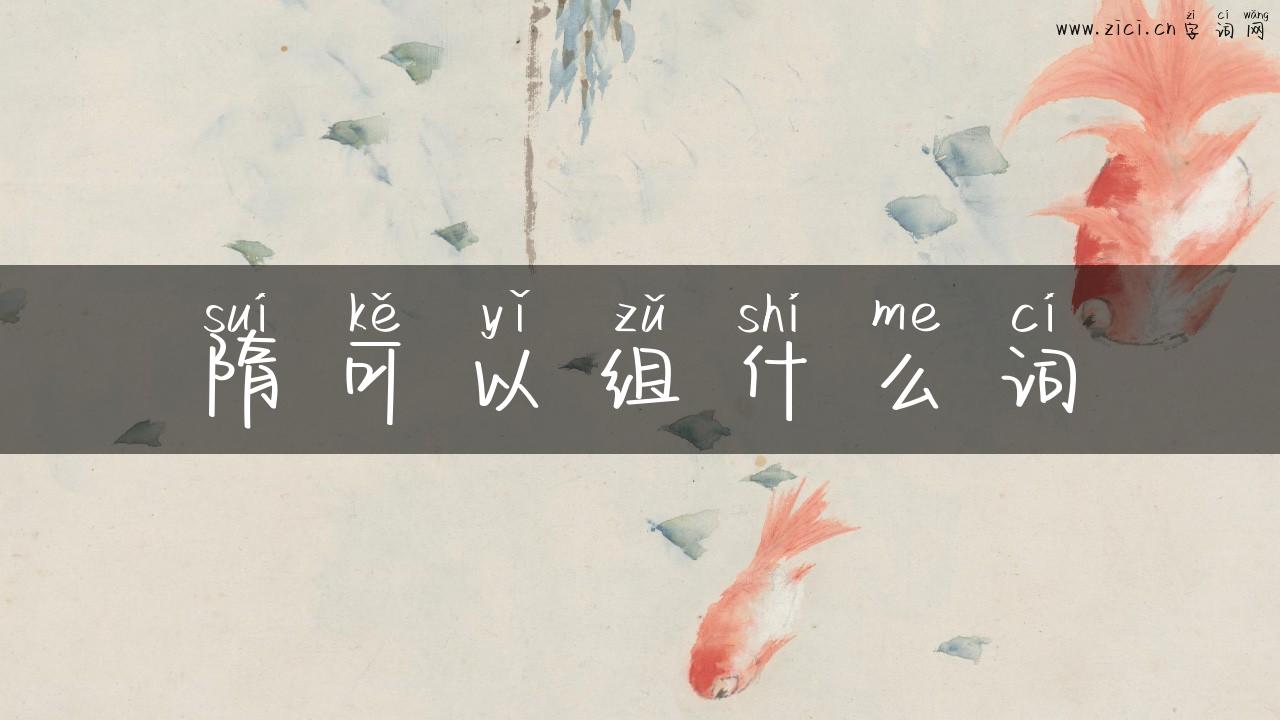 隋可以组什么词