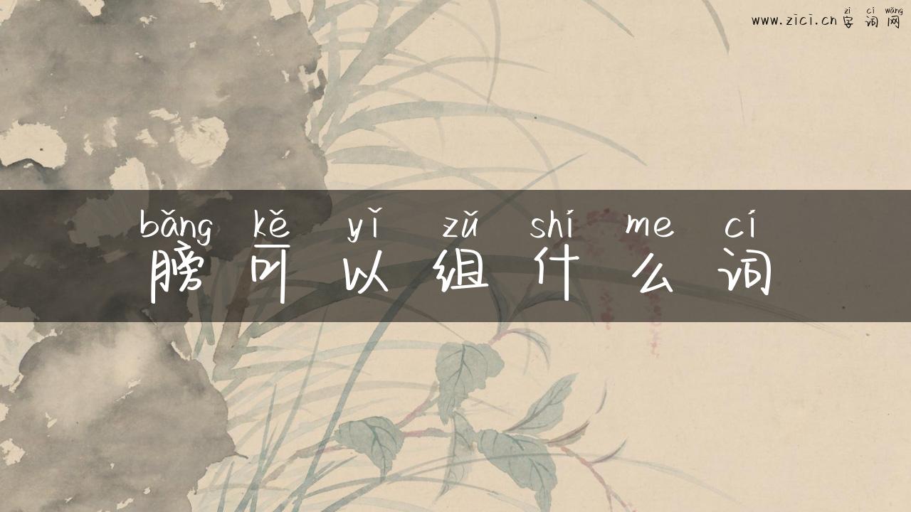 膀可以组什么词